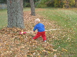 Rake and Run 4