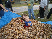Rake and Run 8